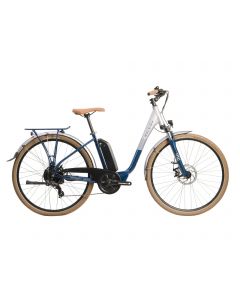 Raleigh Array Low Step 2023 Bike