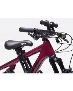 Kids Ride Shotgun Childs Bike Seat & Handlebars