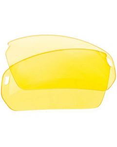 BZ Optics Replacement Lens