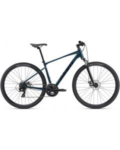 Giant Roam Disc 4 2024 Bike