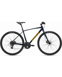 Giant Escape Disc 3 2025 Bike