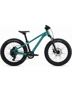 Giant STP 20 FS 2026 Kids Bike