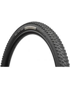 Teravail Drawpoint Durable 29-Inch Tubeless Tyre