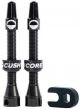 CushCore Tubeless Valves
