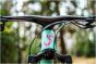 Liv Pique Advanced SL 1 2026 Womens Bike