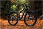 Liv Pique Advanced SL 0 2026 Womens Bike