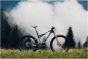 Giant Anthem Advanced SL SE World Champion 2026 Frameset