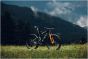 Giant Anthem Advanced SL SE World Champion 2026 Frameset
