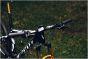 Giant Anthem Advanced SL SE World Champion 2026 Frameset