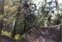 Giant STP 24 2026 Junior Bike