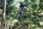 Giant STP 26 2026 Bike
