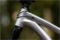 Giant STP 26 2026 Bike