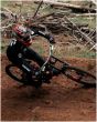 Fist Chapter 27 Sam Hill Good Times Gloves